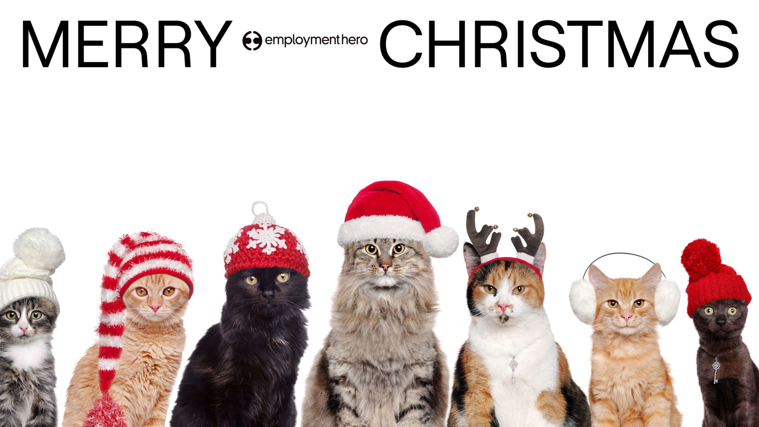 https://env-employmentherocom-premstaging.kinsta.cloud/wp-content/uploads/2021/12/Holiday-Zoom-Backgrounds-Blog6.jpg