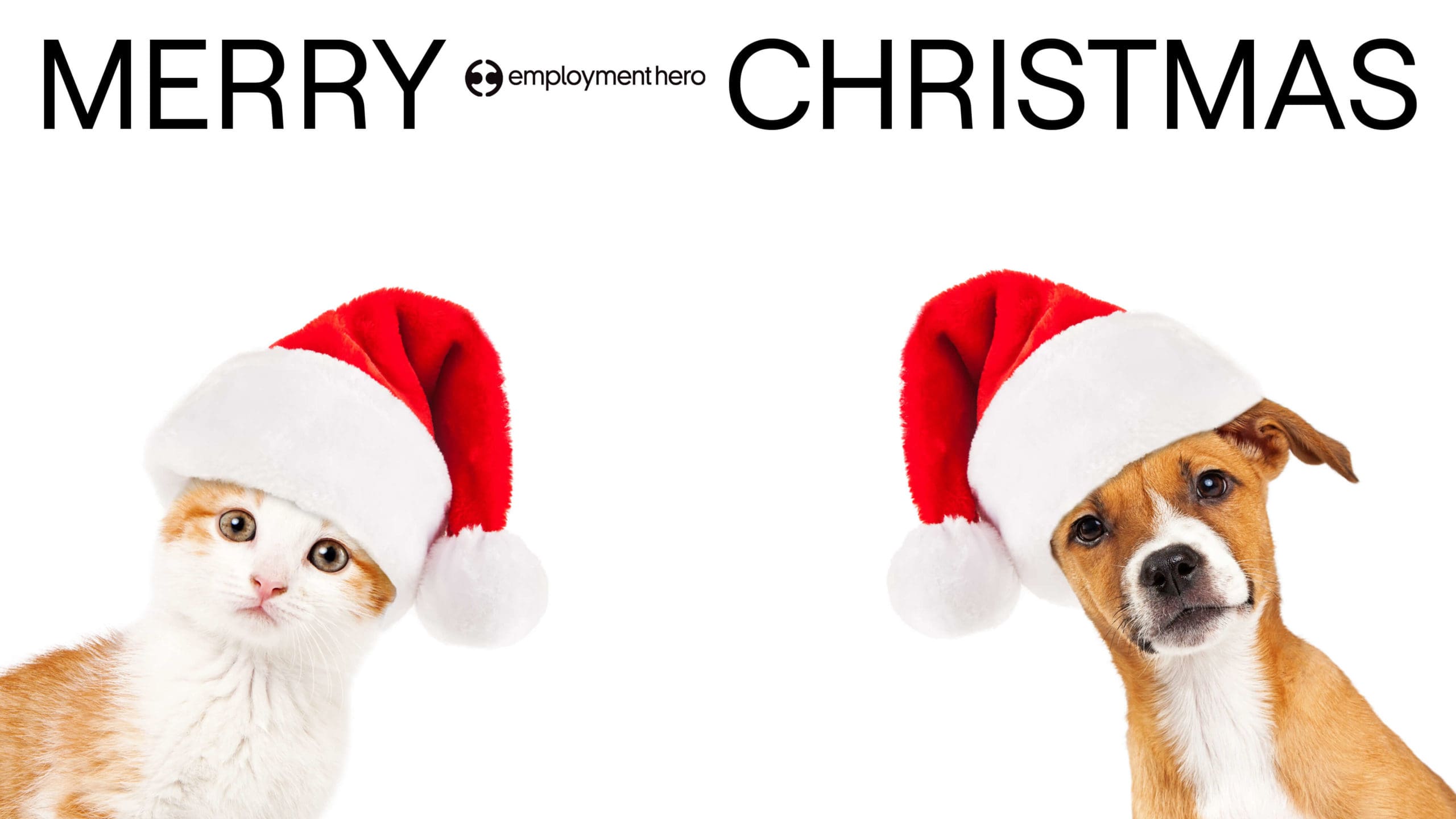 Christmas Zoom background