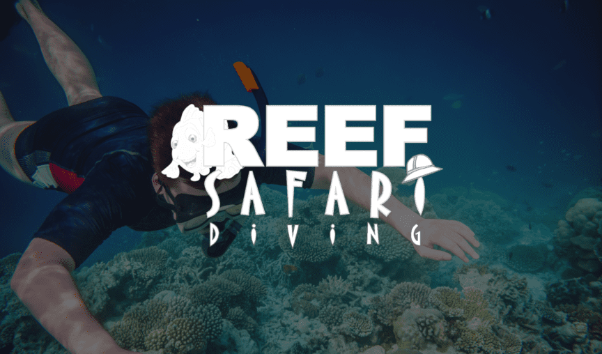 Reef Safari Diving - Case Study