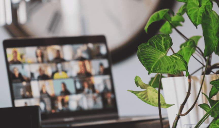Zoom team meeting and plant