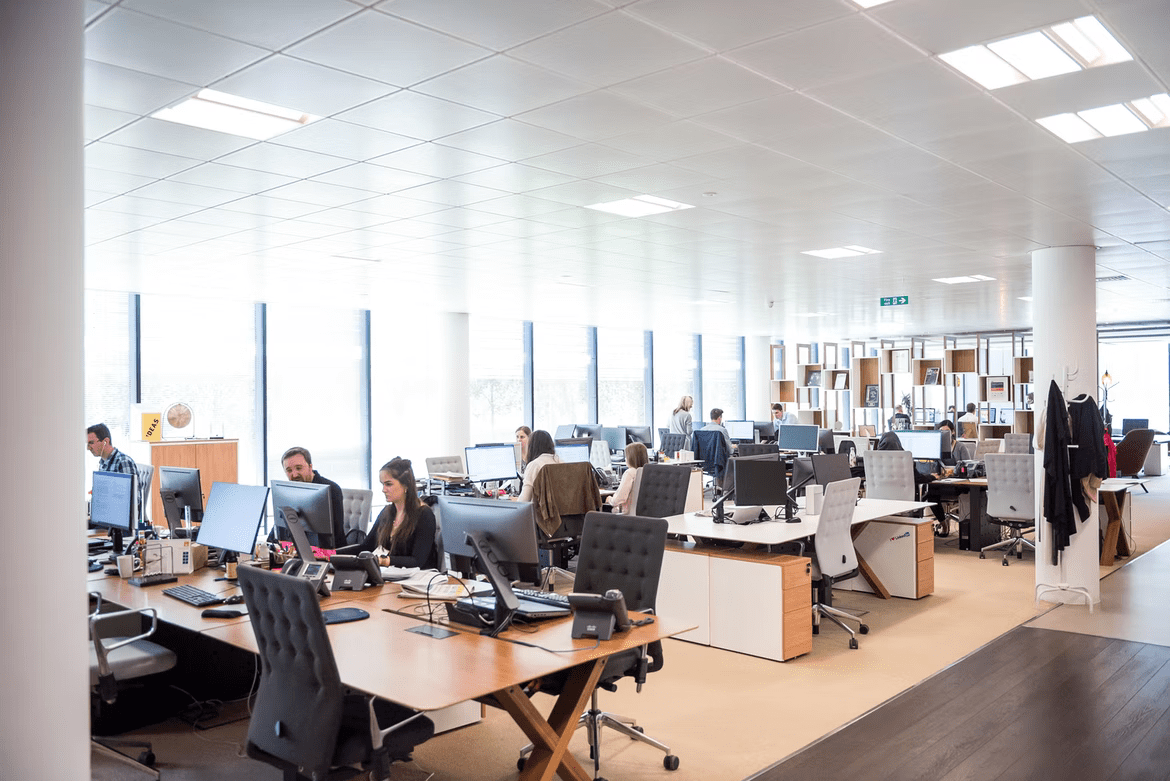 employees working in an office